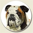AutoCoaster ~ Bulldog ~ Tile Drink Coaster for car cupholder - code 844