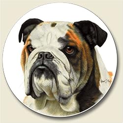 Bulldog Coaster, Single Coaster for Your Car
