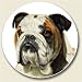 English Bulldog Stone Auto Car Coaster (1)