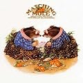 Matching Mole: Expanded Edition