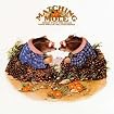 Matching Mole