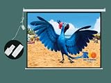 100'' HD ELECTRIC PROJECTOR SCREEN GLASS BEADED WITH REMOTE by HQD