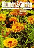 Produkt-Bild: Blumen und Garten - Das praktische Pflanzen-ABC. Band 6 - Pl-Sch