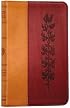 ESV Bible, Compact Thinline Edition (Tan/Burgundy, Vine Design, Red Letter)