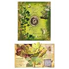 How to Find Flower Fairies by  Cicely Mary Barker
