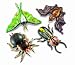 Learning Resources Giant Inflatable Nocturnal Creatures
