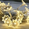 20er LED Lichterkette warmwei�, Sonnenblumen, batteriebetrieben