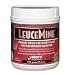 Leucemine  Advanced Formulation Of L-glutamine, Bcaa, L-leucine, L-isoleucine, L-valine, Grape Flavor , 17.6 Oz (500 G)