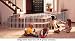 Pet Supplies : KidCo Configure Gate