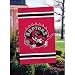 Toronto Raptors Applique Banner Flag