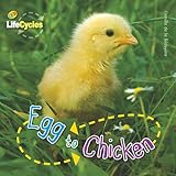 Egg to chicken