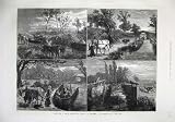 1874 CANAL LIFE BARGES LOCK HORSES DONKEY FINE ART