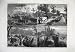 1874 Canal Life Barges Lock Horses Donkey Fine Art