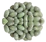 Jelly Belly Jelly Beans Mint Chocolate Chip Flavor 10 Pound Bulk Box