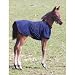 Tekno Fleece Foal Warmer