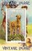 2.75 inch x 2 inch (7.5 x 5cm) Acrylic Fridge Magnet Dogs Irish Wolfhound Vintage Image
