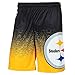 FOCO NFL Men's (2016 Edition) Gradient Polyester Shorts
