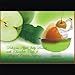 Jeannie Prebiotics 100% No Animal Content Gelatin-free Dessert [High Fiber & Vitamin C], Assorted Flavor, 3.6oz Boxes (Pack of 6)
