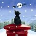 Kitchen & Housewares : In Time For Christmas Black Cat Christmas Card Pack