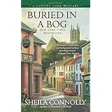 buried in a bog a county cork mystery
