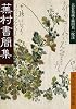 蕪村書簡集 (岩波文庫)