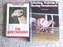 The Greyhound (Popular Dogs' Breed)