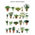 Kr�uter - Jardin Aromatique, K�chen-Kr�uter Poster Kunstdruck (50 x 40cm)