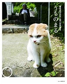 うちのまる ~養老孟司先生と猫の営業部長