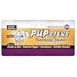 Simple Solution Disposable Diapers, X-Small, 12-Count