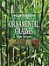 Books : The Plantfinder's Guide to Ornamental Grasses
