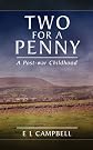 Two for a penny : a post-war childhood