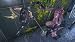 NINJA GAIDEN II(�˥󥸥㥬���ǥ� 2)��CERO�졼�ƥ��󥰡�Z�ס�