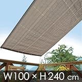 �u���[�W�[�I�[�j���O 100�~240 �x�[�W��