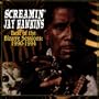 Best Of Bizarre Sessions