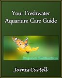 Your Freshwater Aquarium Care Guide