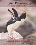Digital Photography Instruction