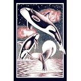 Home Dynamix Zone 4 x 5 Navy Blue 7516 Area Rug