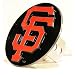 Sporting Goods : San Francisco Giants Logo Trailer Hitch Cover