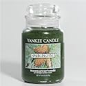 Sparkling Pine - Yankee Candle 22 oz Jar