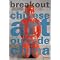 Contemporary Chinese Art - Future Directions