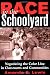 Race in the Schoolyard: Negotiating the Color Line in Classrooms and Communities (Series in Childhood Studies)