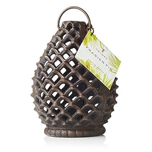 Thymes Frasier Fir Pinecone Lantern