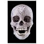 For the Love of God: The Making of the Diamond Skull