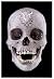 For the Love of God: The Making of the Diamond Skull