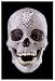 Books : For the Love of God: The Making of the Diamond Skull