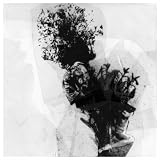 Languages (Low Motion Disco Mirs‰gewas¸spasst Remix)