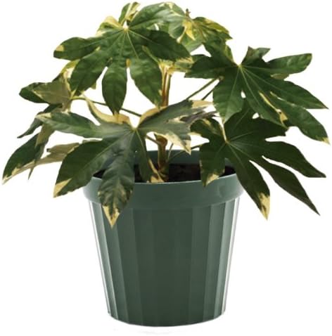 Plastic Decorative Pots #3 Green