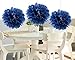 HEARTFEEL 8pcs Navy Blue Tissue Paper Pom-poms Flower Ball Hanging Pom Wedding Party Outdoor Decoration Wedding Nursery Decorations Bridal Shower Party Room Decor