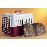 Cat Carrier Cranberry And Ivory 49x33x30cm
