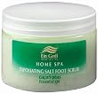 Eucalyptus Salt Body Scrub 455 gr. ( 16 oz. )